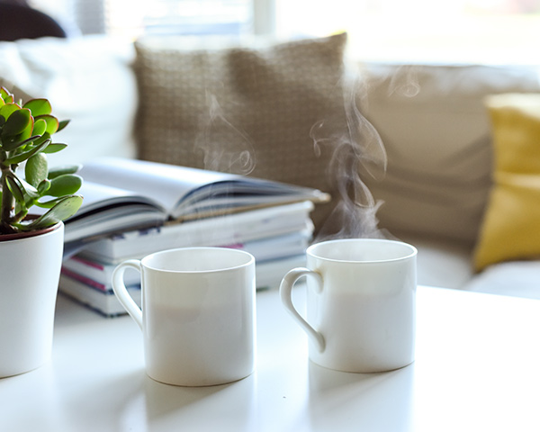 Two mugs of tea, couch, books and plant for therapy in Rochester, NY