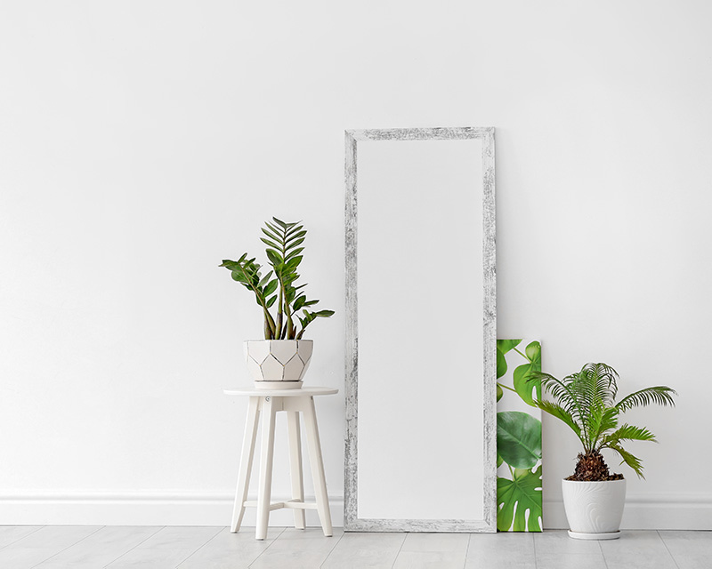 Mirror and plants - therapy for perfectionists and high achievers in NY