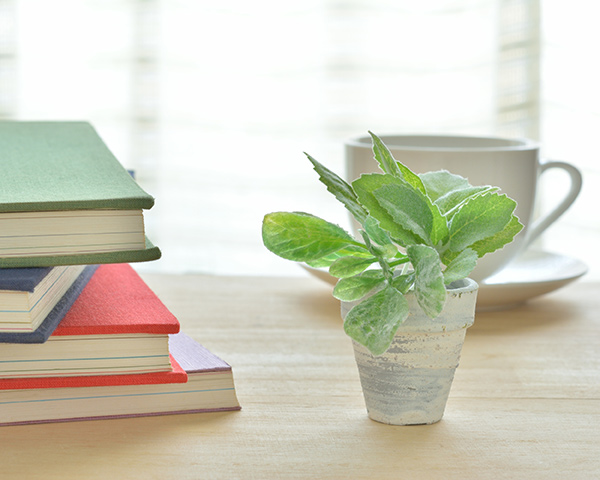 Stack of colored books and plant - therapy for new therapists in Rochester, NY