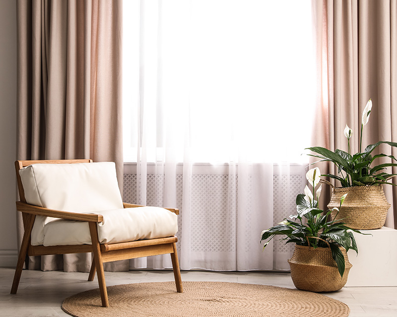 Chair and plants with light coming through window for therapist office with Michelle Lentine